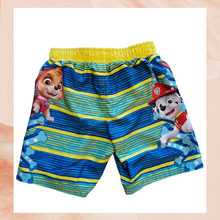 Load image into Gallery viewer, Paw Patrol Blue Striped Swim Shorts (Pre-Loved) Boy&#39;s Size 6
