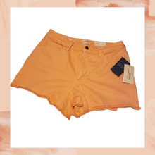 Load image into Gallery viewer, Orange Vintage Midi Shorts Size 8
