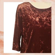 Load image into Gallery viewer, Pinot Crushed Velvet Blouse Small

