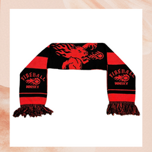 Cargue la imagen en el visor de la galería, Red &amp; Black Striped Fireball Whiskey Scarf (Pre-Loved) OS
